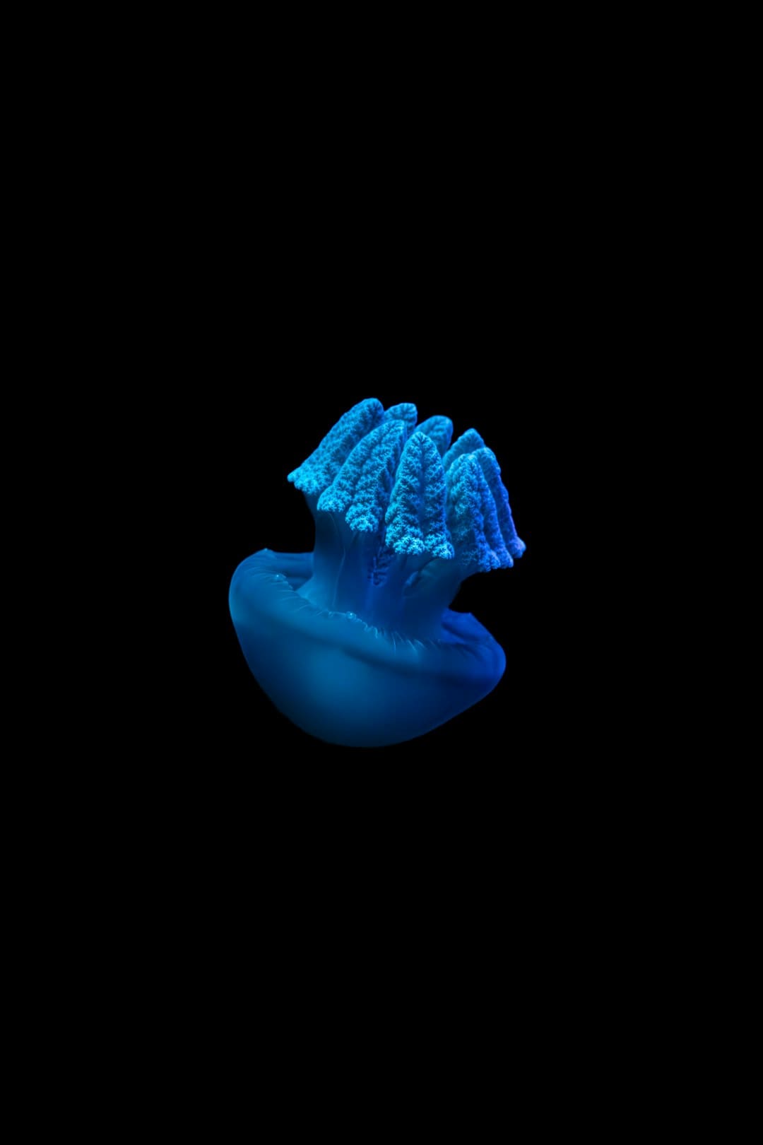 净利润暴降59%!巴菲特供认“犯了一些错”